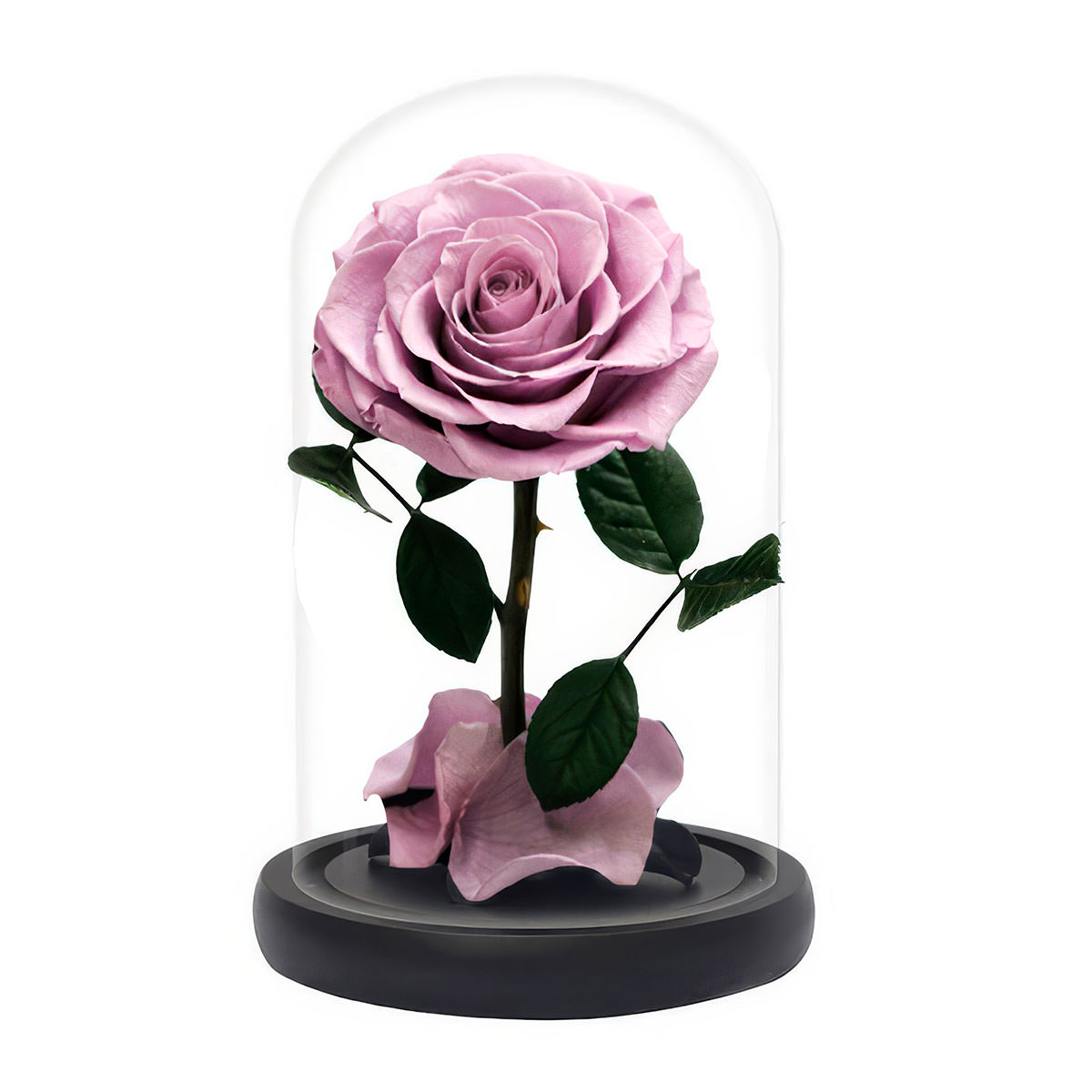 Розы в колбе